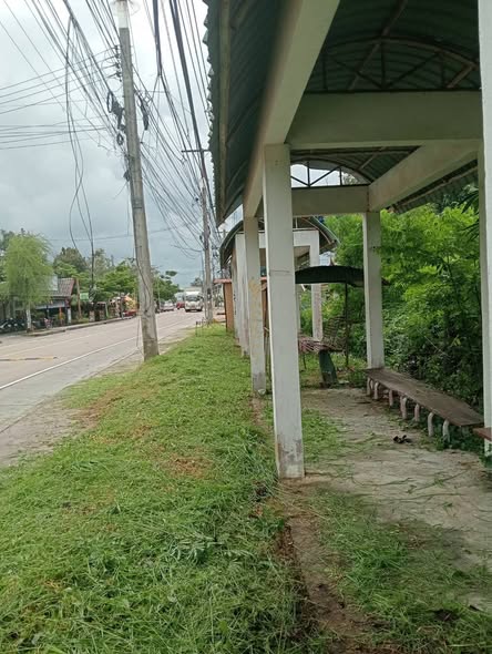 ตัดหญ้าบริเวณ โรงเรียนเกาะพะงันศึกษา