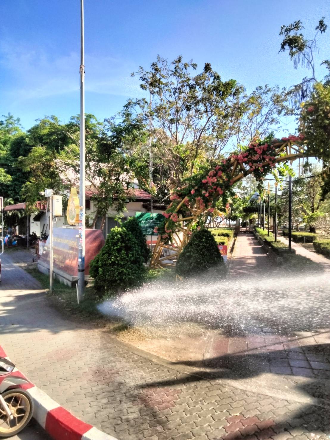 นำพนักงานออกฉีดรดน้ำต้นไม้บริเวณท่าเทียบเรืออำเภอเกาะพะงัน